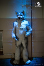 BFD8 0185 von Bastlwastl