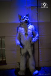 BFD8 0186 von Bastlwastl