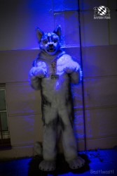 BFD8 0187 von Bastlwastl