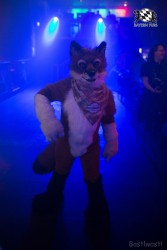 BFD8 0361 von Bastlwastl