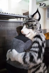 BFD8 0412 von Bastlwastl