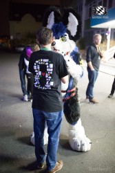 BFD8 0413 von Bastlwastl