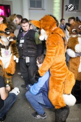 BFD8 0426 von Bastlwastl