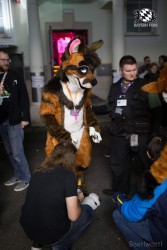 BFD8 0428 von Bastlwastl