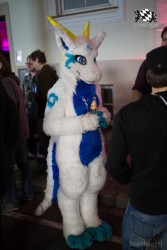 BFD8 0431 von Bastlwastl