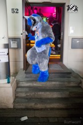 BFD8 0448 von Bastlwastl