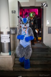 BFD8 0449 von Bastlwastl