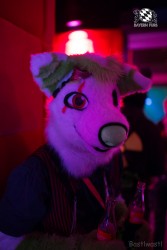 BFD8 0457 von Bastlwastl