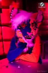 BFD8 0492 von Bastlwastl