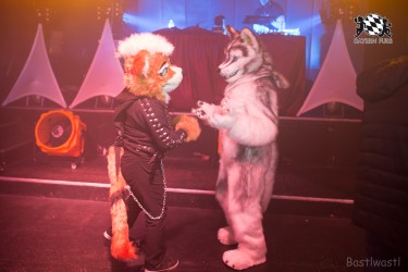 BFD8 0500 von Bastlwastl