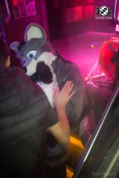 BFD8 0517 von Bastlwastl