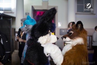 BFD8 0535 von Bastlwastl