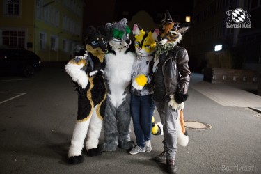 BFD8 0539 von Bastlwastl