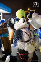 BFD8 0553 von Bastlwastl