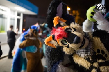 BFD8 0556 von Bastlwastl