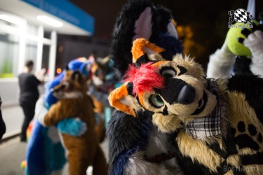 BFD8 0557 von Bastlwastl