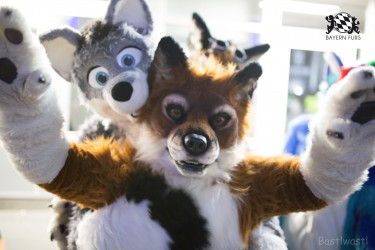 BFD8 0568 von Bastlwastl