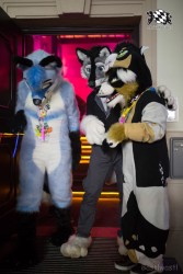 BFD8 0573 von Bastlwastl