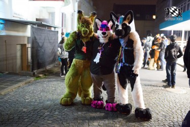 BFD8 0585 von Bastlwastl