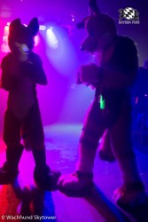 BFD8 0758 von Wachhund