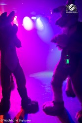 BFD8 0762 von Wachhund