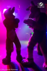 BFD8 0763 von Wachhund