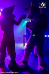 BFD8 0768 von Wachhund