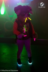 BFD8 0775 von Wachhund