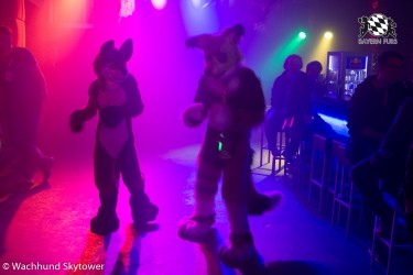 BFD8 0781 von Wachhund