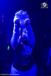 BFD8 0796 von Wachhund