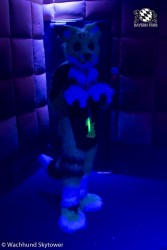 BFD8 0799 von Wachhund