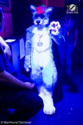 BFD8 0801 von Wachhund