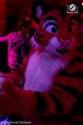 BFD8 0815 von Wachhund