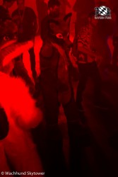 BFD8 0840 von Wachhund