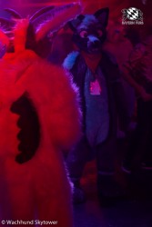 BFD8 0842 von Wachhund