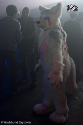 BFD8 0846 von Wachhund