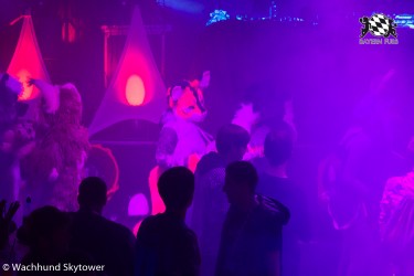 BFD8 0850 von Wachhund