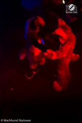 BFD8 0872 von Wachhund