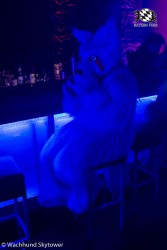 BFD8 0900 von Wachhund