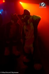 BFD8 0924 von Wachhund