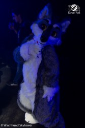 BFD8 0938 von Wachhund