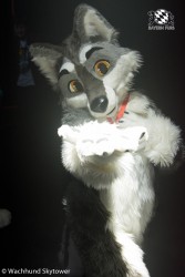 BFD8 0939 von Wachhund