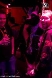 BFD8 0952 von Wachhund