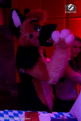 BFD8 0967 von Wachhund