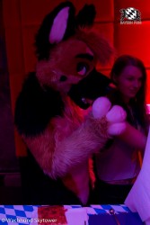 BFD8 0969 von Wachhund