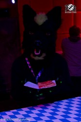 BFD8 0985 von Wachhund