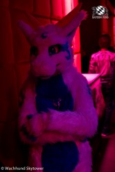 BFD8 0988 von Wachhund