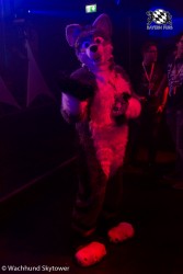 BFD8 0995 von Wachhund