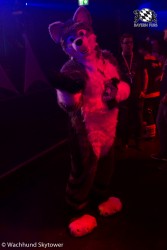 BFD8 0996 von Wachhund