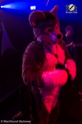 BFD8 0998 von Wachhund